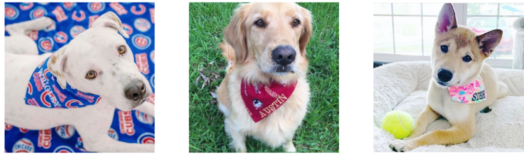 Lavender menace dog outlet bandanas