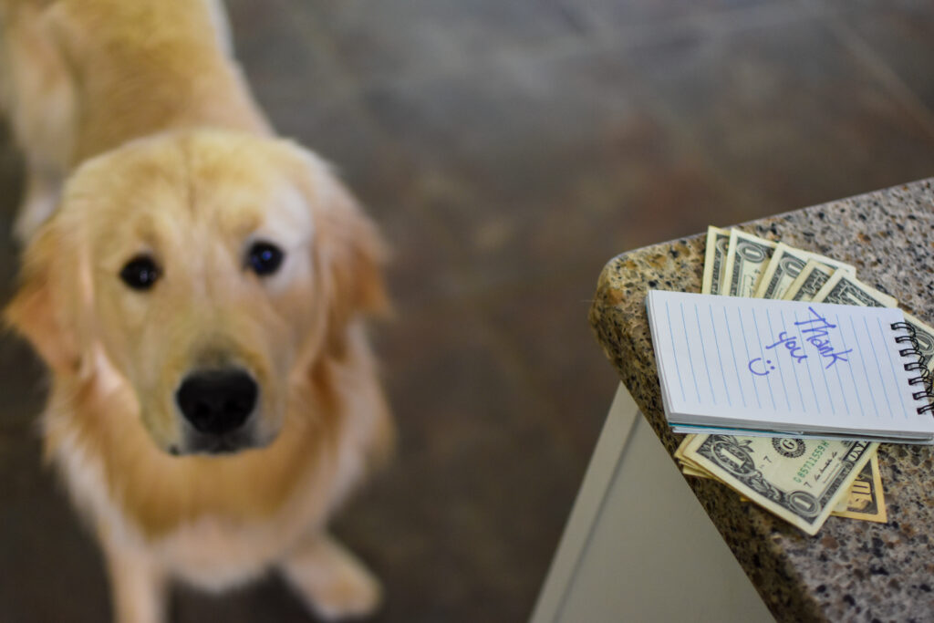 do you tip dog sitters