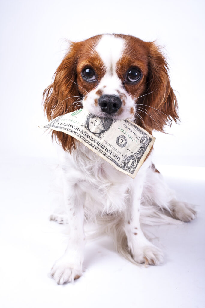 do you tip self employed dog groomer