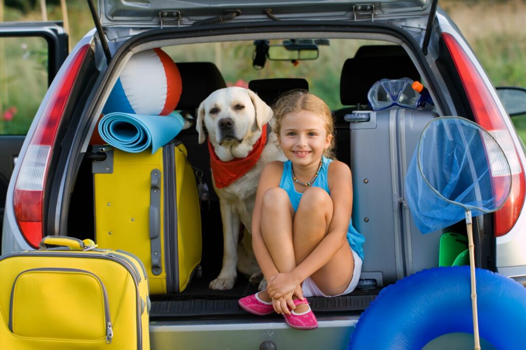 Best Pet-Friendly Southern Vacation Areas - The Savvy Sitter