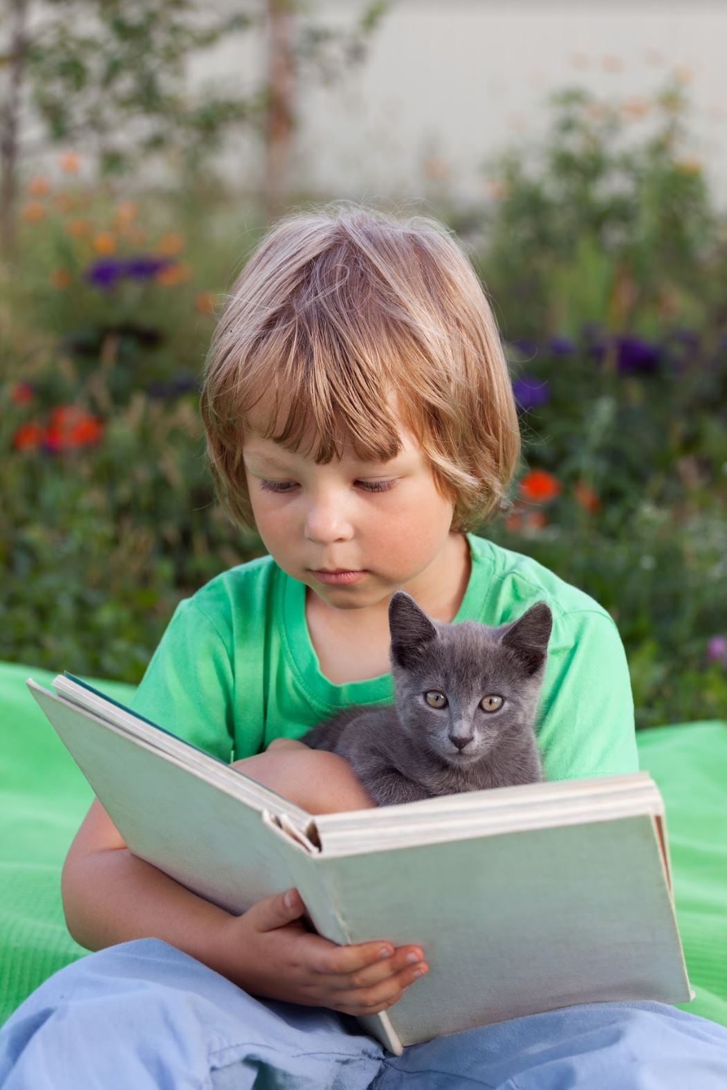 Boy reading with a cat