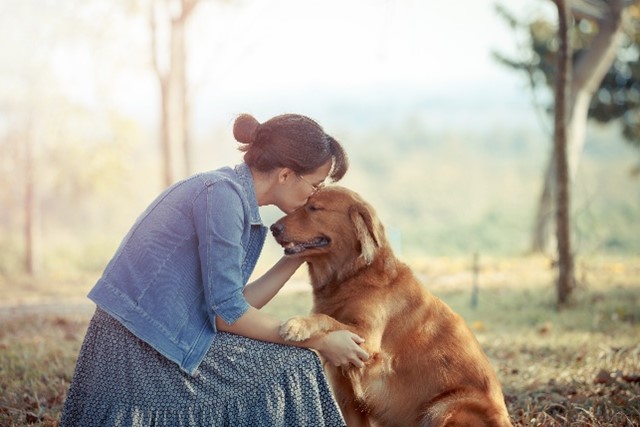 Spending time with your dog