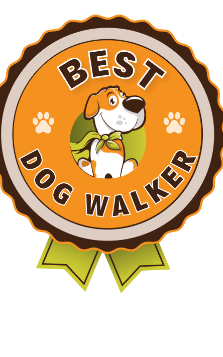 Professional Seattle Dog Walkers & Pet Sitters