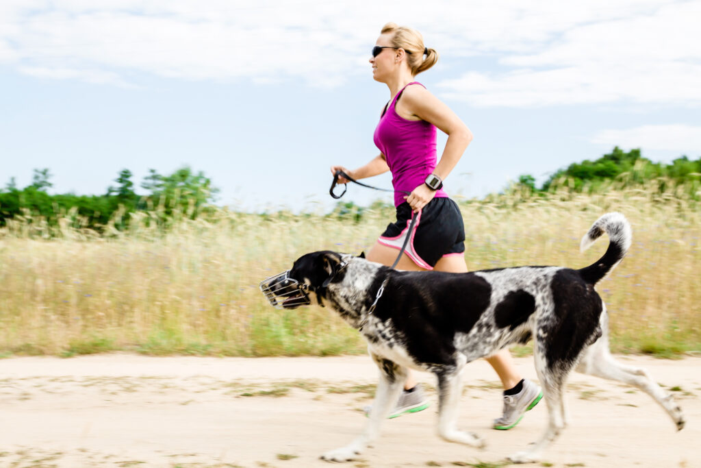 Another Reason Why Your Dog is the Ultimate Workout Partner