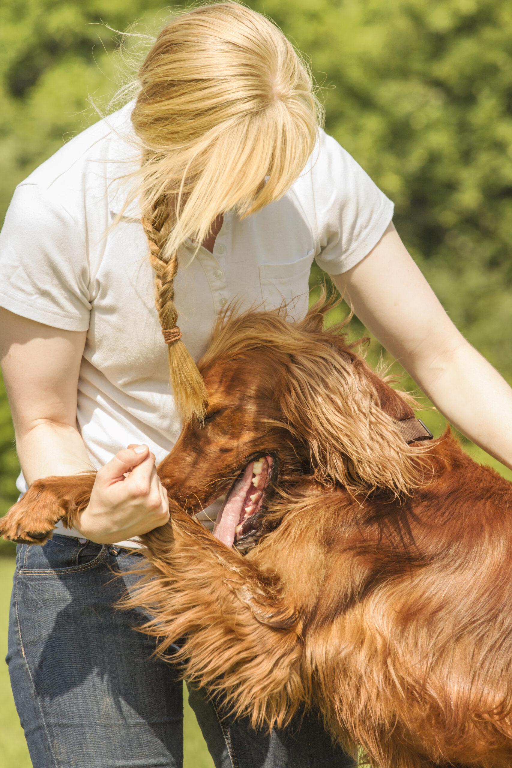 how-to-find-a-dog-trainer-the-savvy-sitter