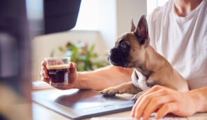 Small brown dog is helping a person type on the computer keyboard at work.