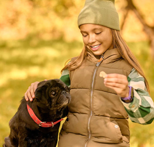 children can benefit from a family dog through responsibility