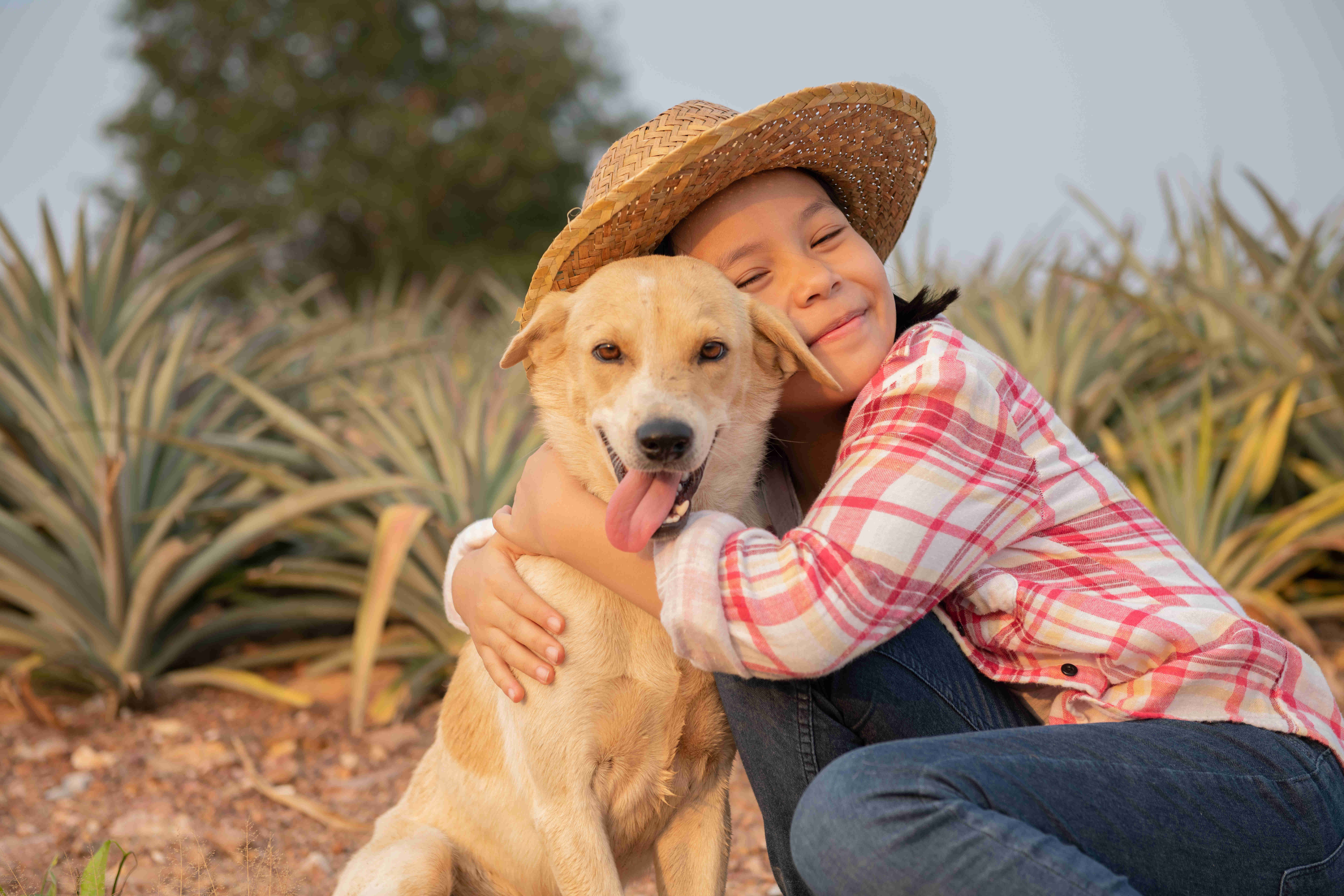 children can benefit from a family dog emotionally