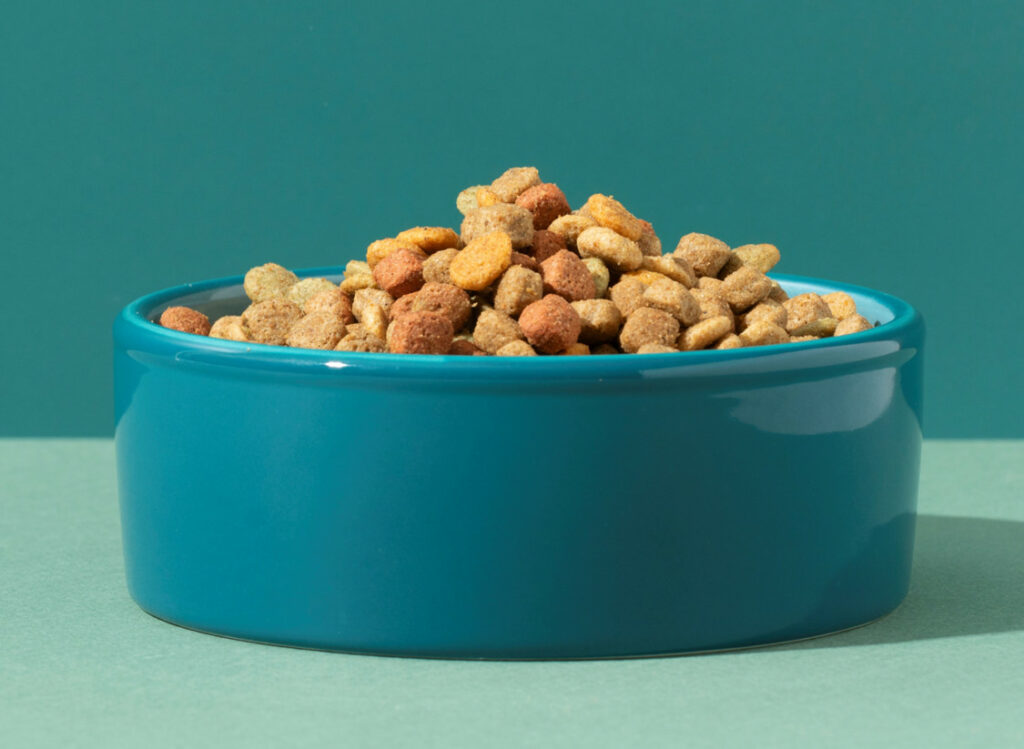 large vs small dog food