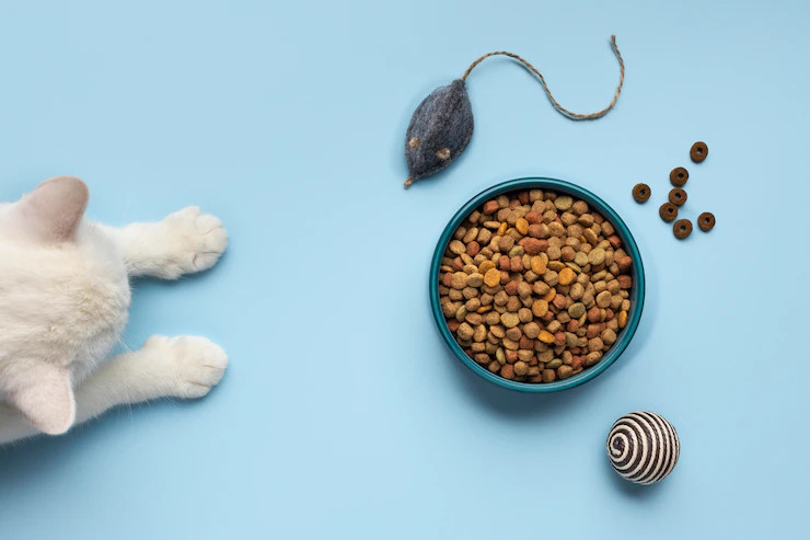 Dry food clearance for picky cats