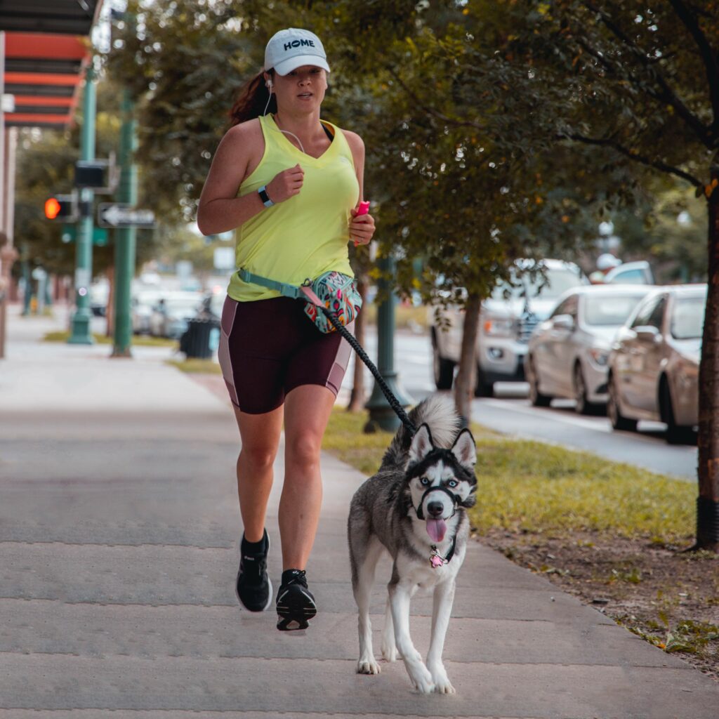 husky running - What Games Are Best for Your Dog?