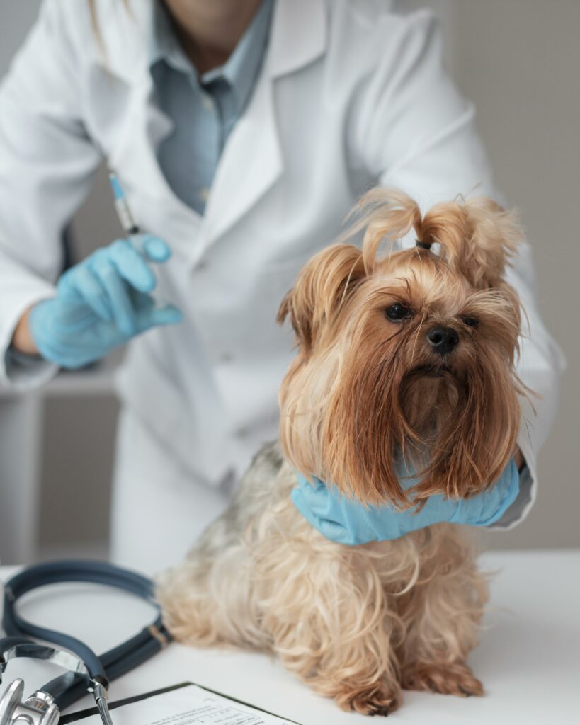 dog eating poop - medical issue