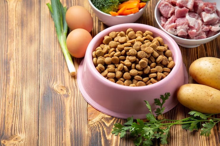 Canine Nutrition: six essentials
