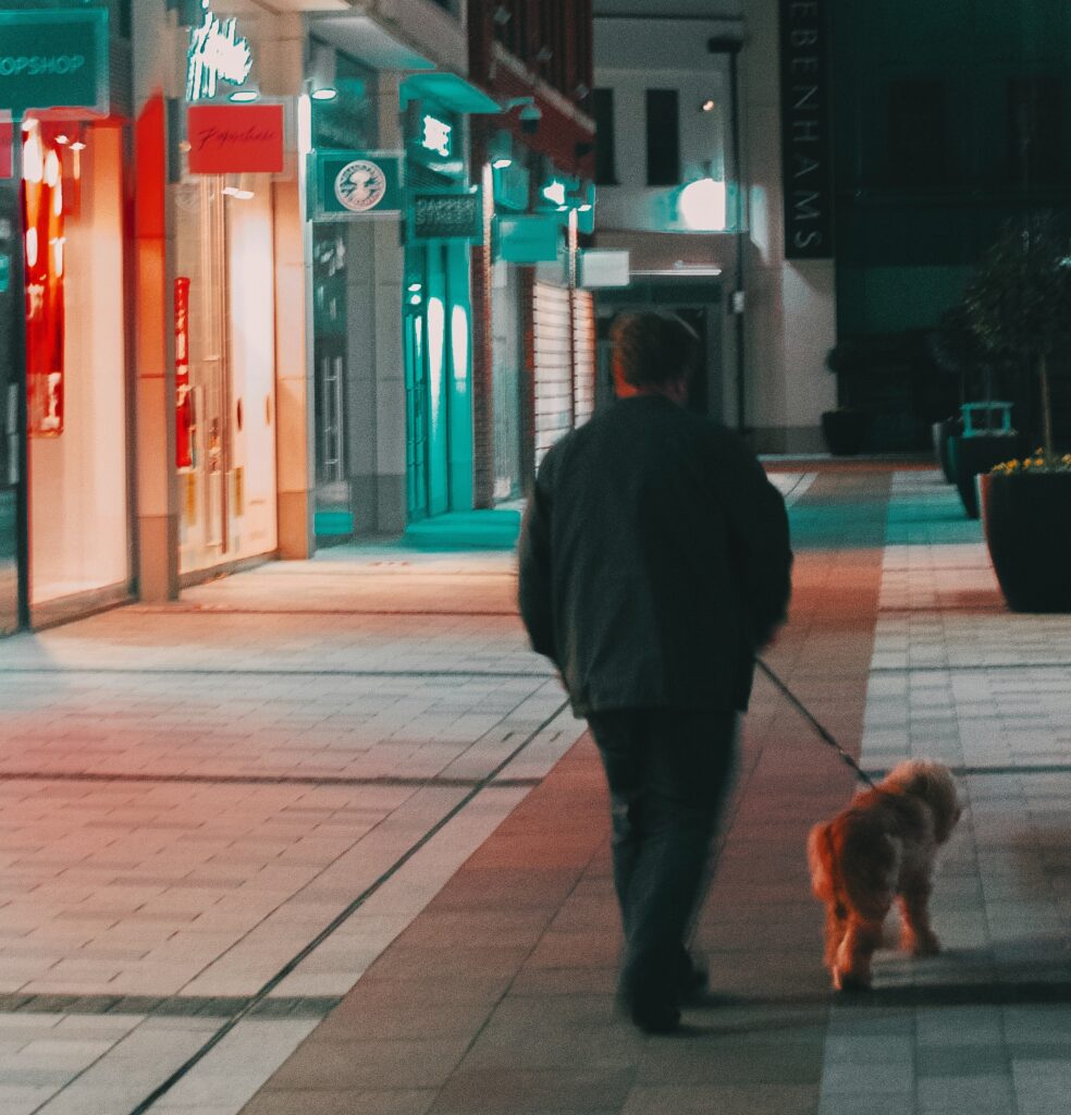 Walking your dog at night: use safe walking routes