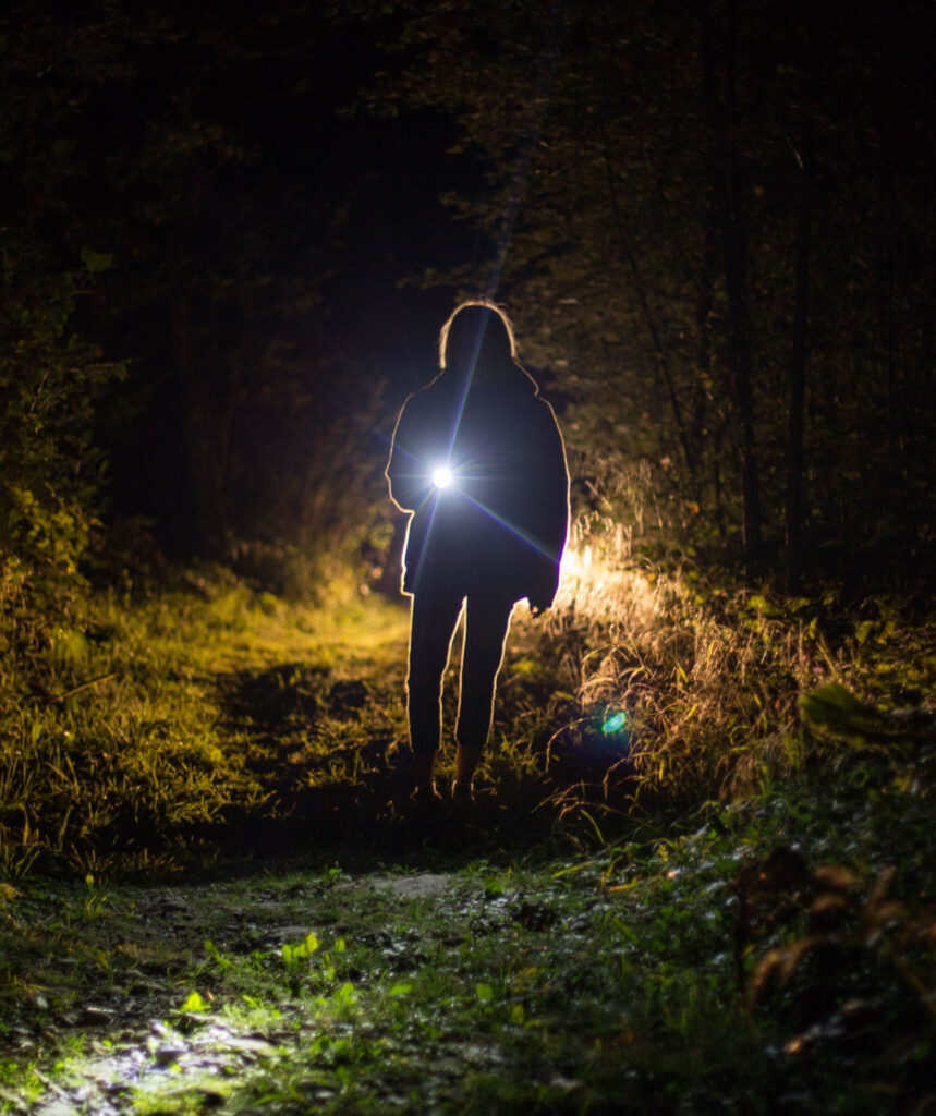Walking your dog at night: take a light source