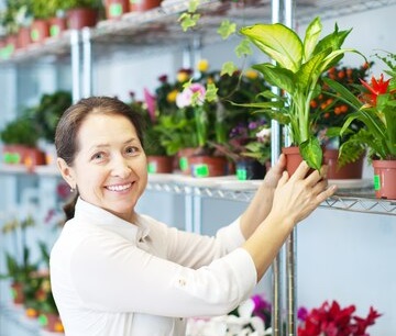 Dangerous House Plants for Pets - dieffenbachia