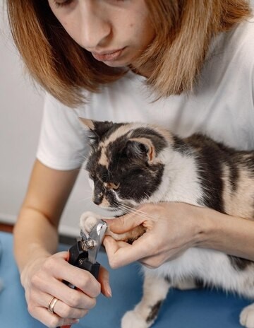 nail trimming cats