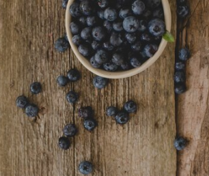 Raw foods every dog should eat: blueberries