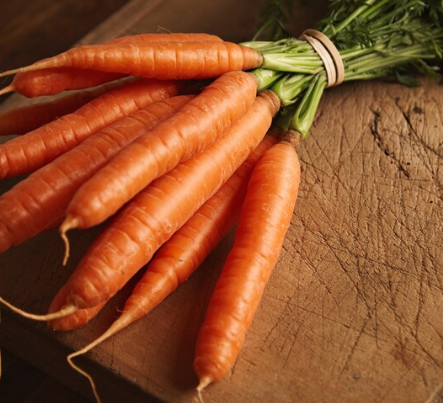 Raw foods every dog should eat: carrots