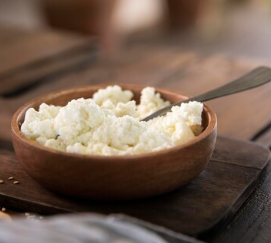 Raw foods every dog should eat: cottage cheese