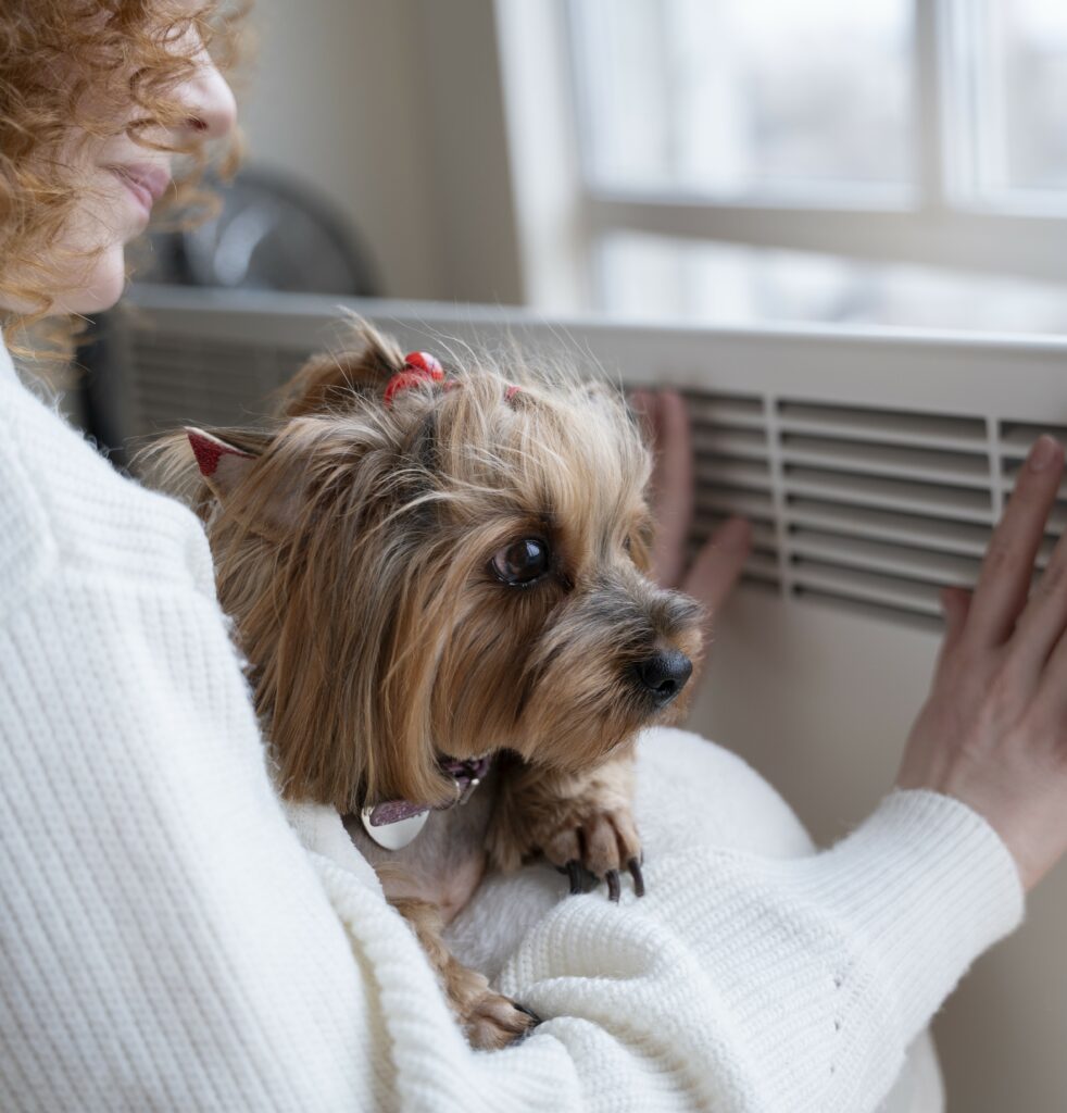 Heat Stroke in Pets: move to cool area