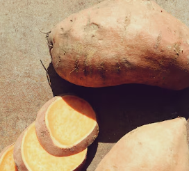Raw foods every dog should eat: sweet potato