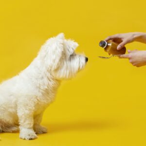 Giving Medication to Pets