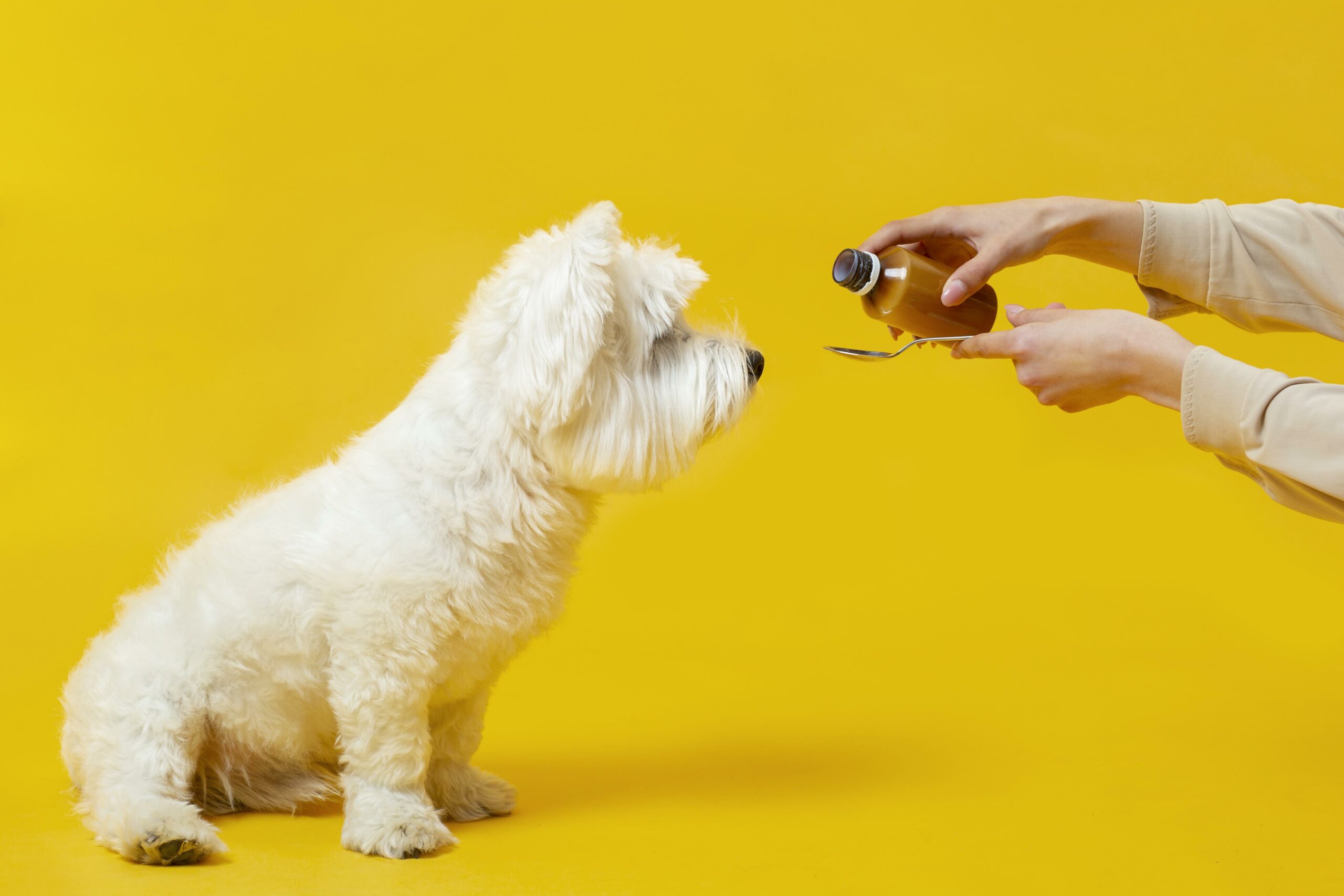 Giving Medication to Pets