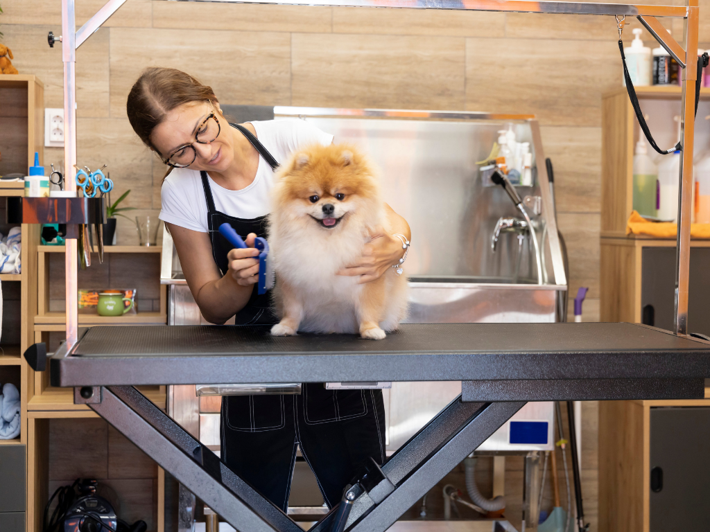 Mobile Groomer vs. Brick-and-Mortar Groomer