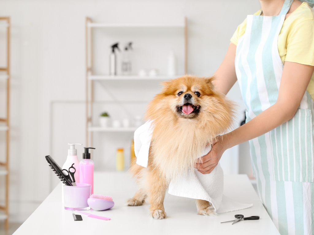 Mobile Groomer vs. Brick-and-Mortar Groomer