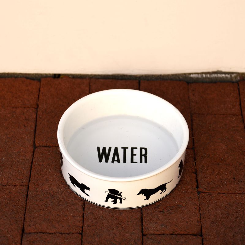 Healthy Diet for cats and dogs - hydration